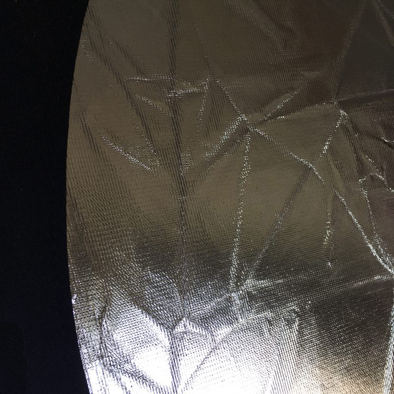 23'' 60CM 2 in 1 Reflector Rou - Reflector Disc Silver 리뷰 및 가격