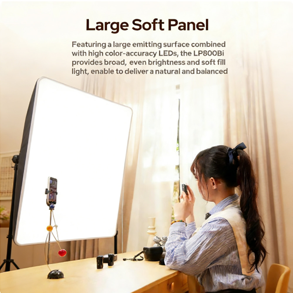 Godox LP800Bi LITEMONS Bi-Colo - Photography Lighting Godox 리뷰 및 가격