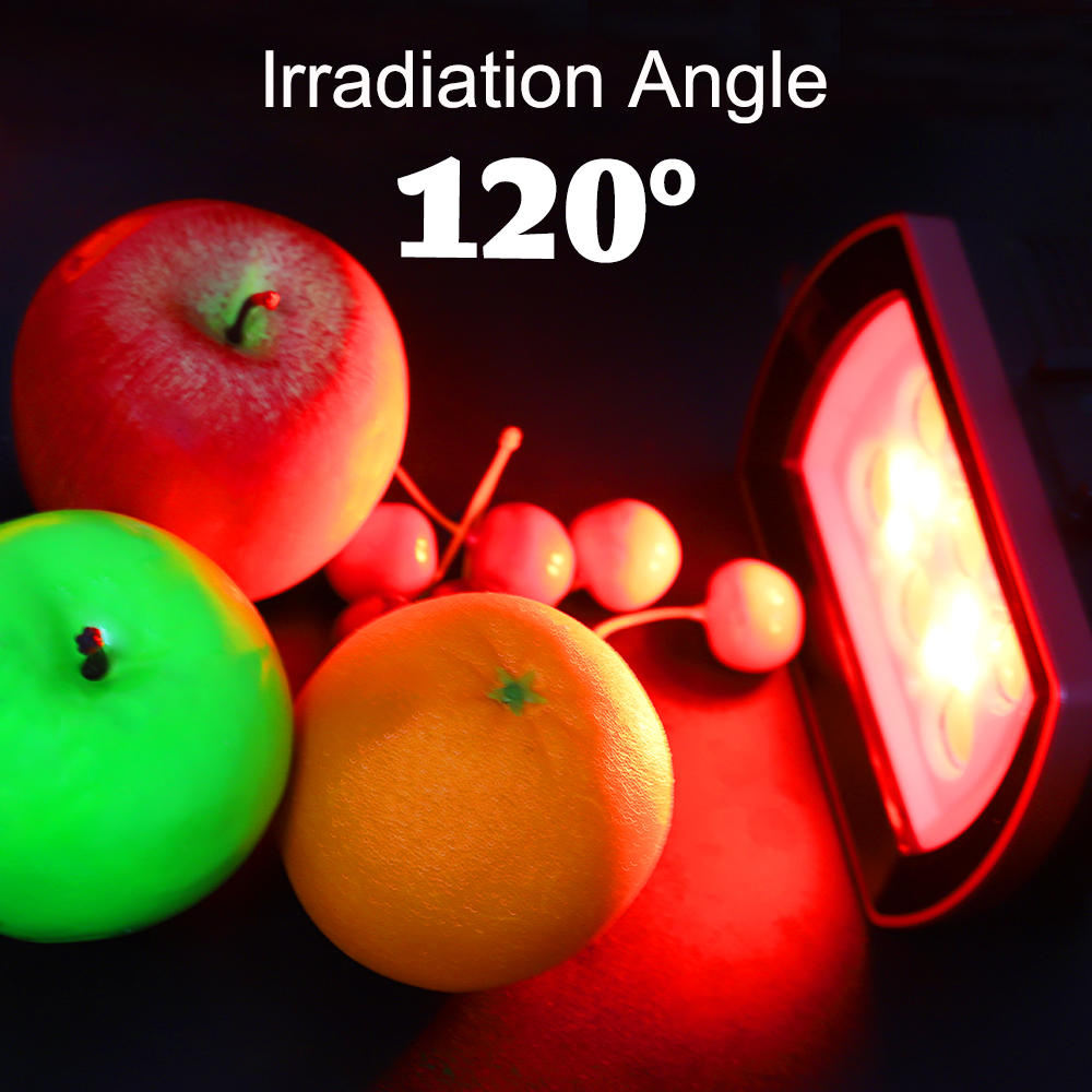 Seafrogs 40Meter Waterproof LE - Photography Lighting Brand 리뷰 및 가격