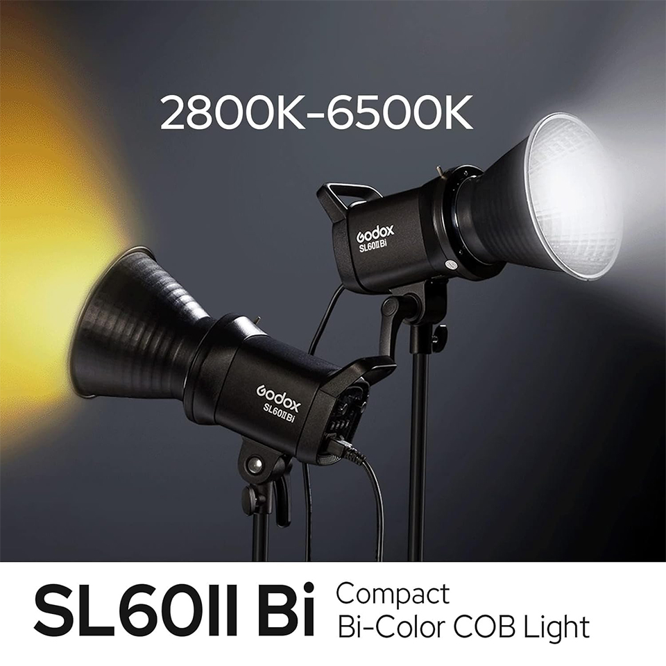 Godox SL60IID SL60IIBi 75W Day - Photography Lighting Godox 리뷰 및 가격