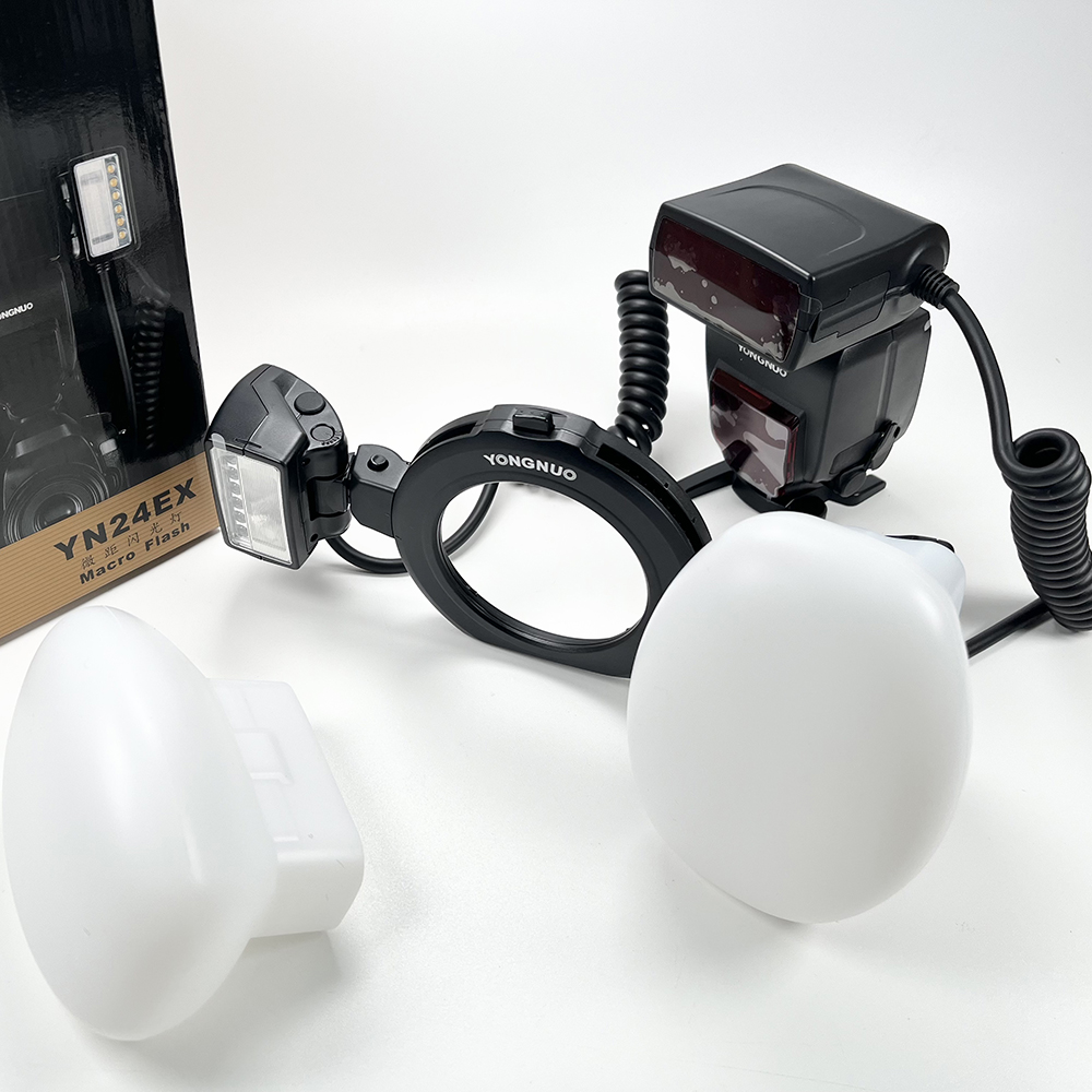 2pcs Softbox Dual Head Flash L - Photography Lighting Godox 리뷰 및 가격
