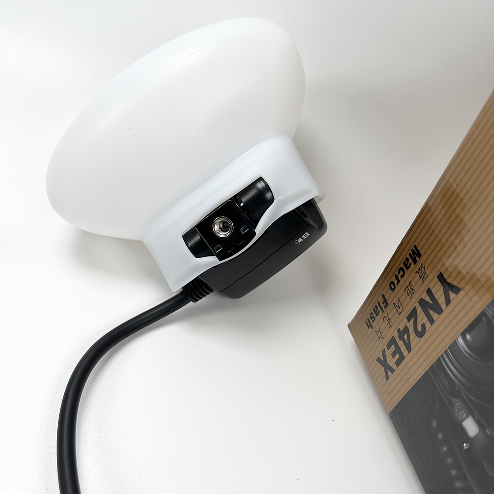 2pcs Softbox Dual Head Flash L - Photography Lighting Godox 리뷰 및 가격