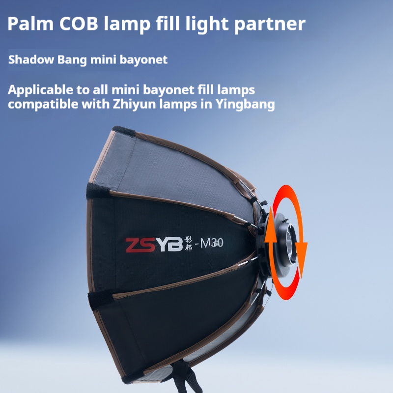 30cm Octagon Umbrella Softbox  - Photography Lighting Grid 리뷰 및 가격