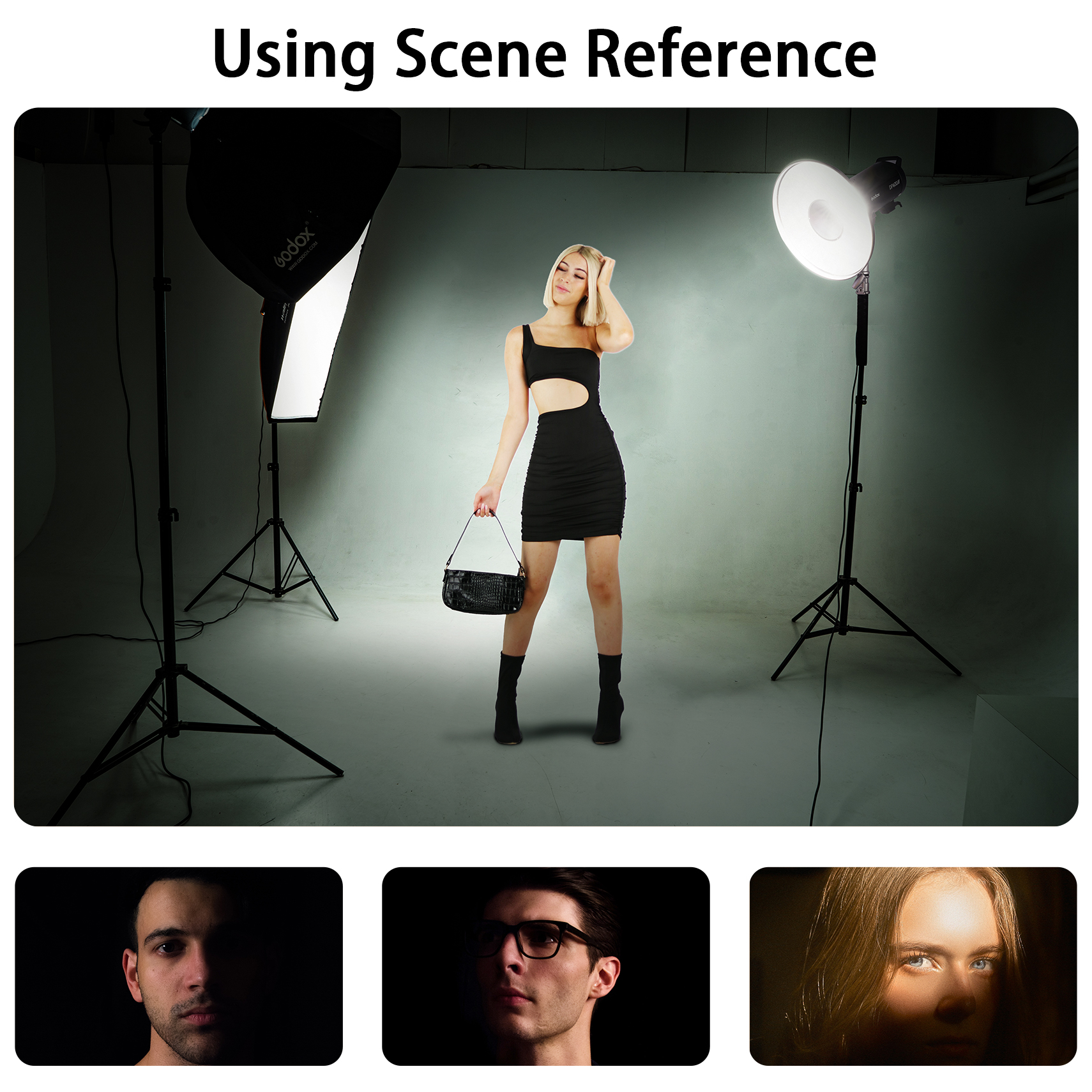 Selens Reflector Beauty Dish 3 - Photography Lighting Grid 리뷰 및 가격