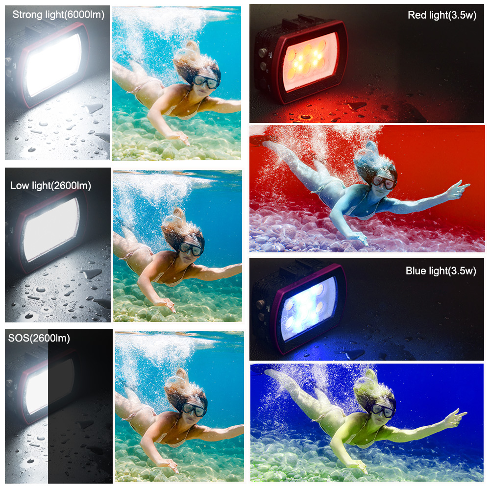 Seafrogs Aluminum LED Diving L - Photography Lighting Brand 리뷰 및 가격